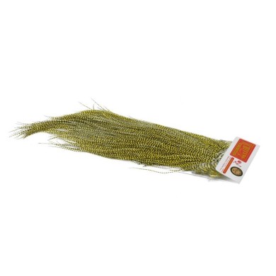 Grizzly dyed Pale Yellow