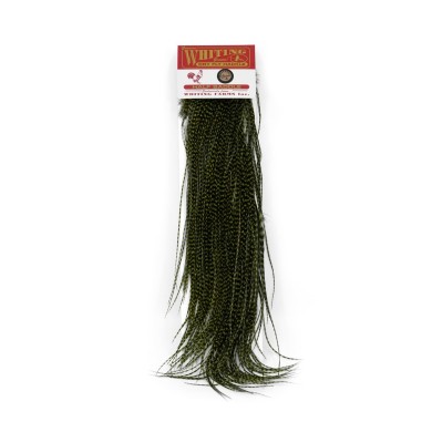 Grizzly dyed Olive