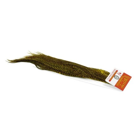 Grizzly dyed Golden Olive