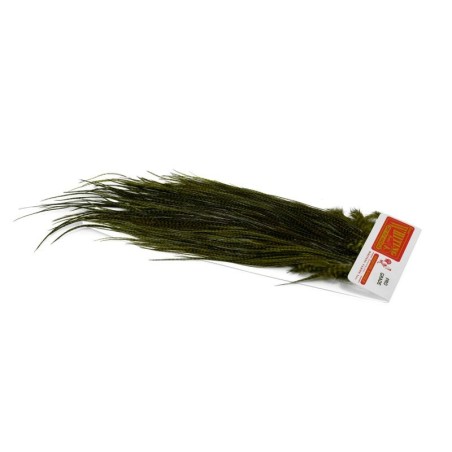 Grizzly teñido de oliva oscuro