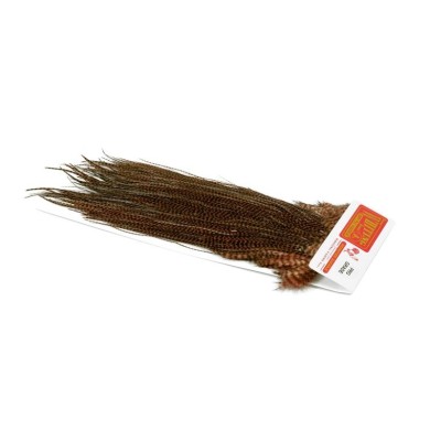 Grizzly teñido Marrón Marzo