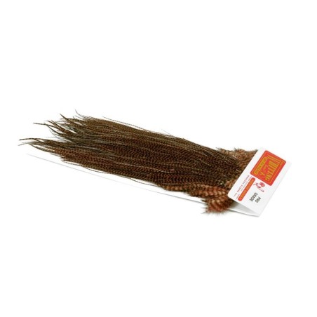 Grizzly teñido Marrón Marzo