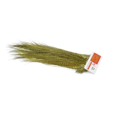 Grizzly teñido de amarillo pálido
