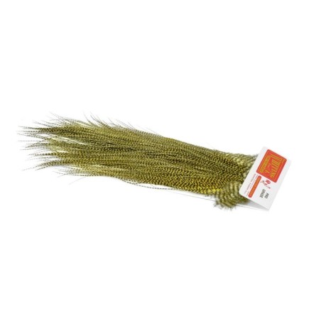 Grizzly teñido de amarillo pálido