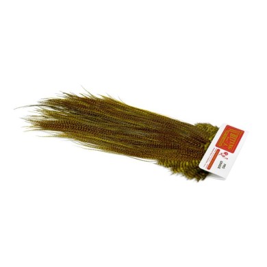 Grizzly teñido Golden Olive