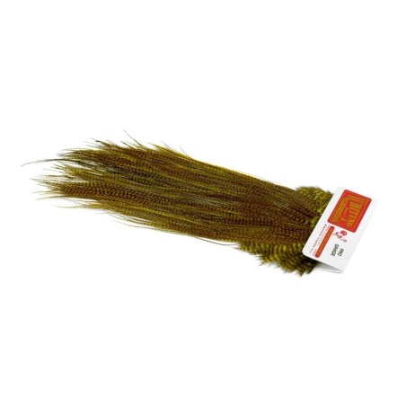 Grizzly teñido Golden Olive