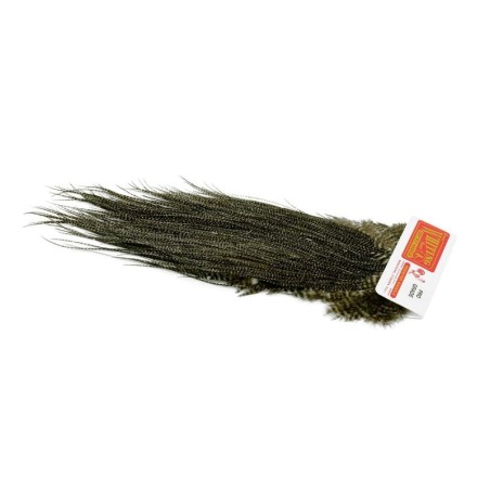 Variante Grizzly