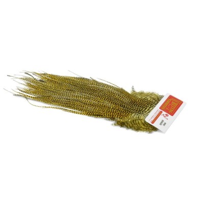 Grizzly teñido de paja dorada