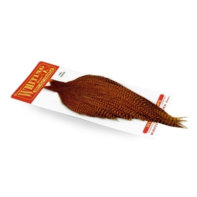 Grizzly dyed Burnt Orange
