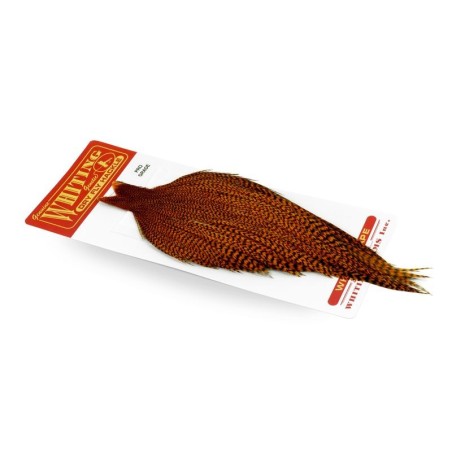 Grizzly dyed Burnt Orange