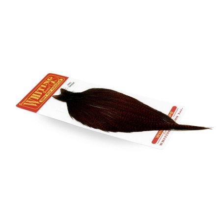 Grizzly dyed Coachman Brown