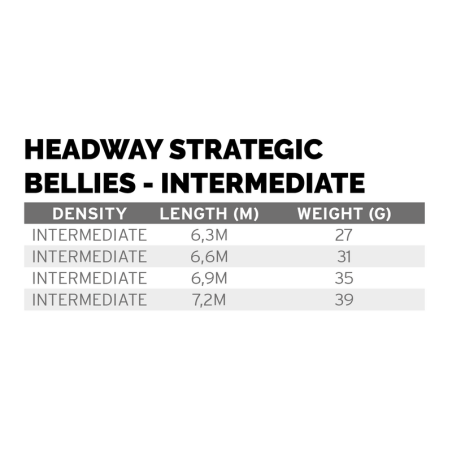Scientific Anglers Headway Strategic Intermediate