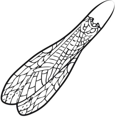 Pro Sportfisher Pro Adult Stonefly Wings