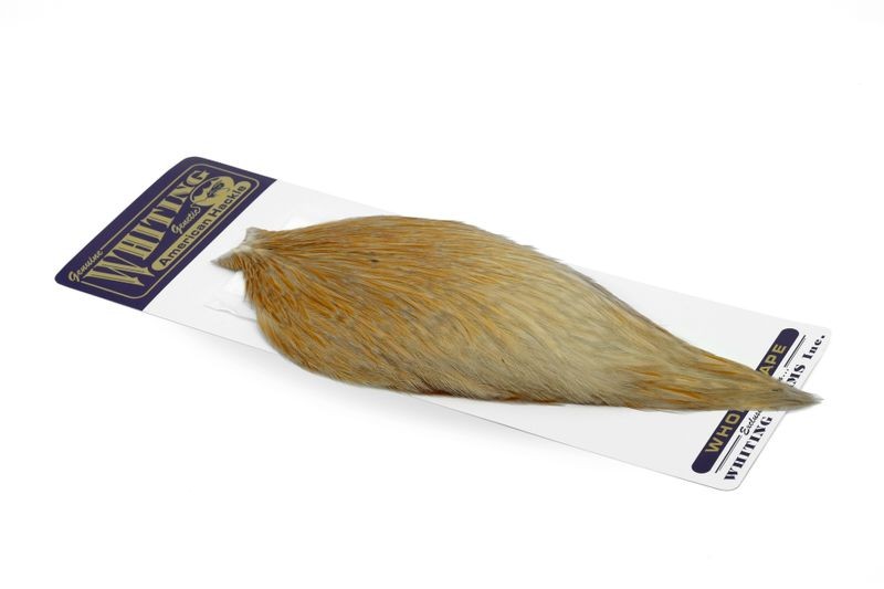 Capa de gallo americano Whiting Farms - Imagen 43 de 43