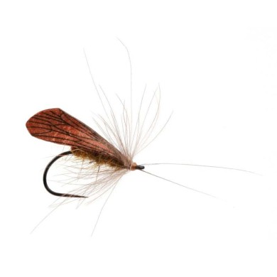 Pro Sportfisher Pro Caddis Wings