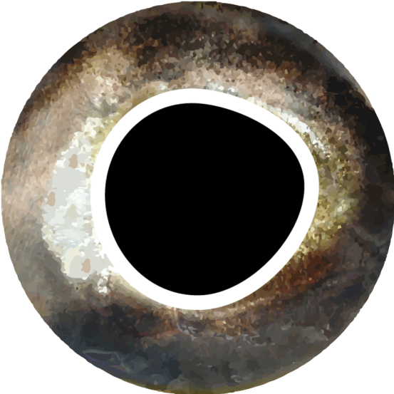 Pro Sportfisher Pro Cool Eyes