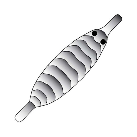 Pro Sportfisher Pro Gammarus Shell Back