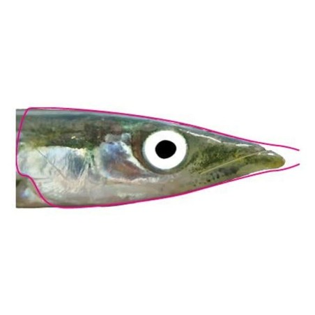 Pro Sportfisher Pro Sandeel Foils