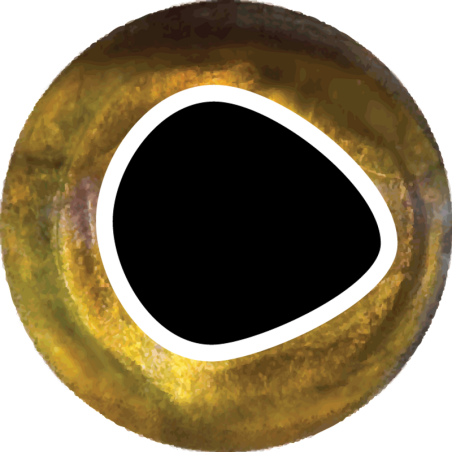 Dorado - 6 mm