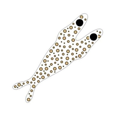 Clear base/Tan dots - L