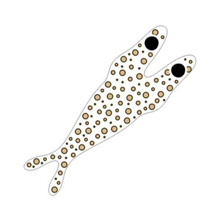 Clear base/Tan dots - L