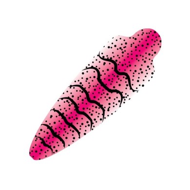 Pink - L