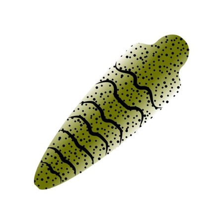 Olive - L