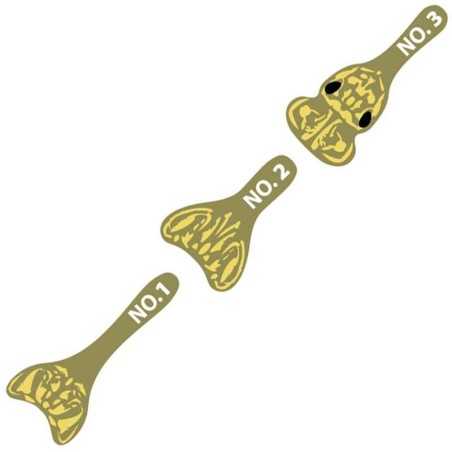 Oliva - L