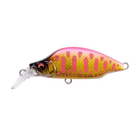 DD PINK BACK GOLD