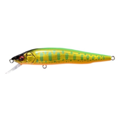 LZ LIME BACK GOLD OB