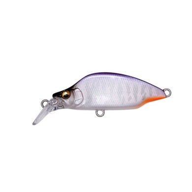 PURPLE BACK HALATION Oska ltd