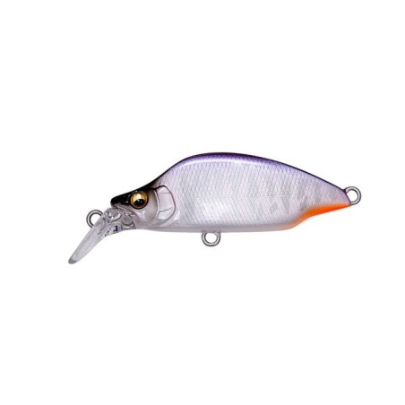 PURPLE BACK HALATION Oska ltd