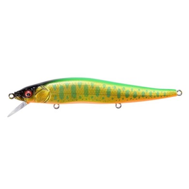 LZ LIME BACK GOLD OB