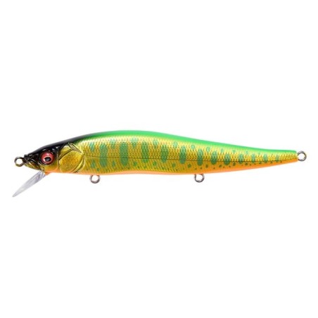 LZ LIME BACK GOLD OB