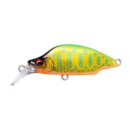 DD LIME BACK GOLD OB