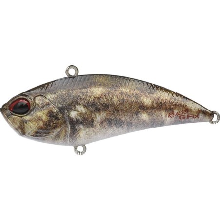 CCCZ103 GOBY ND