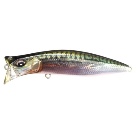 FA GREEN MACKEREL