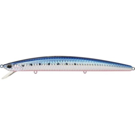 AHA0087 MAZUME SARDINA