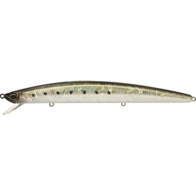 ADA0037 SARDINA NEGRA