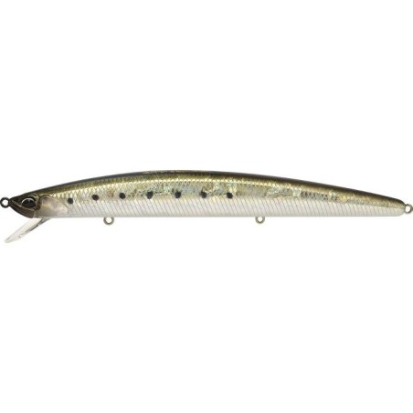 ADA0037 SARDINA NEGRA