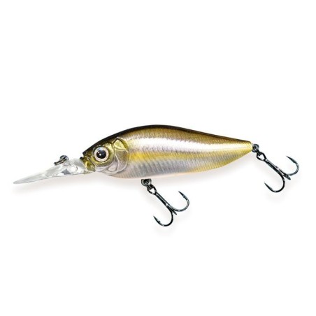 FA STRIPED SHINER