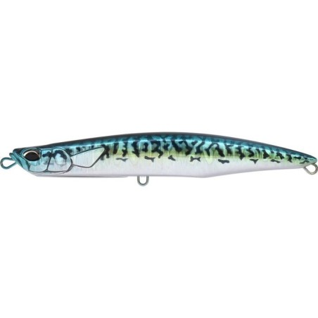 Blue Mackerel