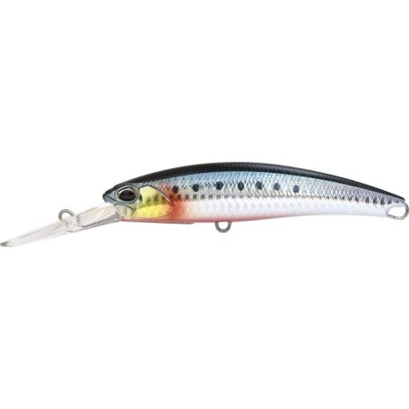 AHAZ337 BLOODY SARDINE (UF)