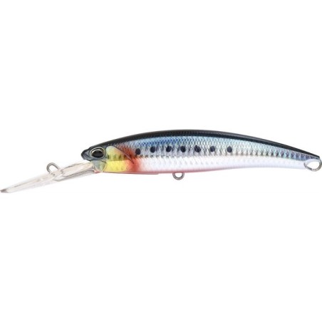 AHAZ337 BLOODY SARDINE (UF)