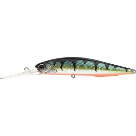 CPAZ429 RED FIN PERCH (UF)