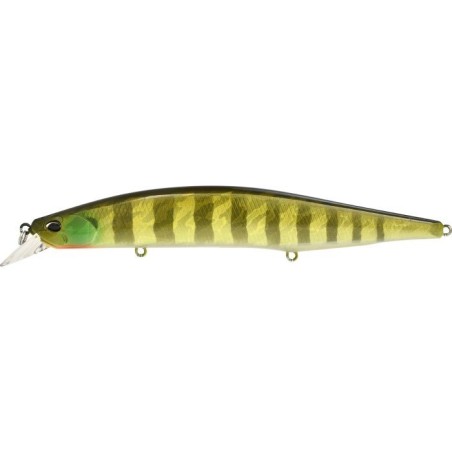 AJA3055 CHART GILL