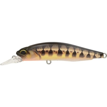 CCCZ431 UV MINNOW (UF)