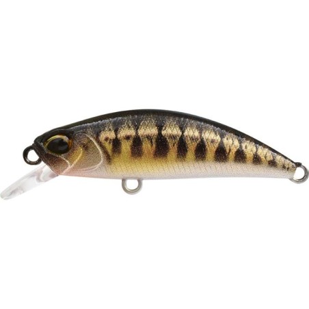 CCCZ431 UV MINNOW (UF)