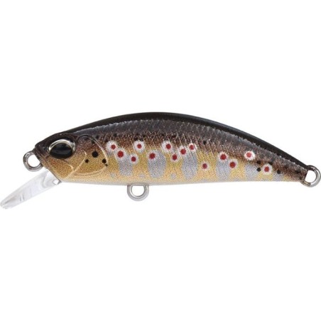CCCZ333 REAL FARIO (UF)