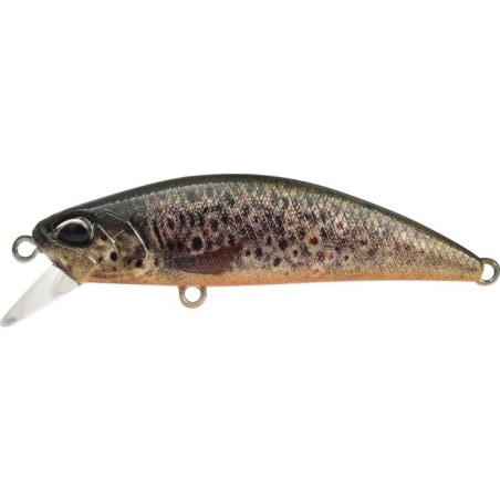 CCCZ442 TRUCHA MARRÓN OB UV (UF)